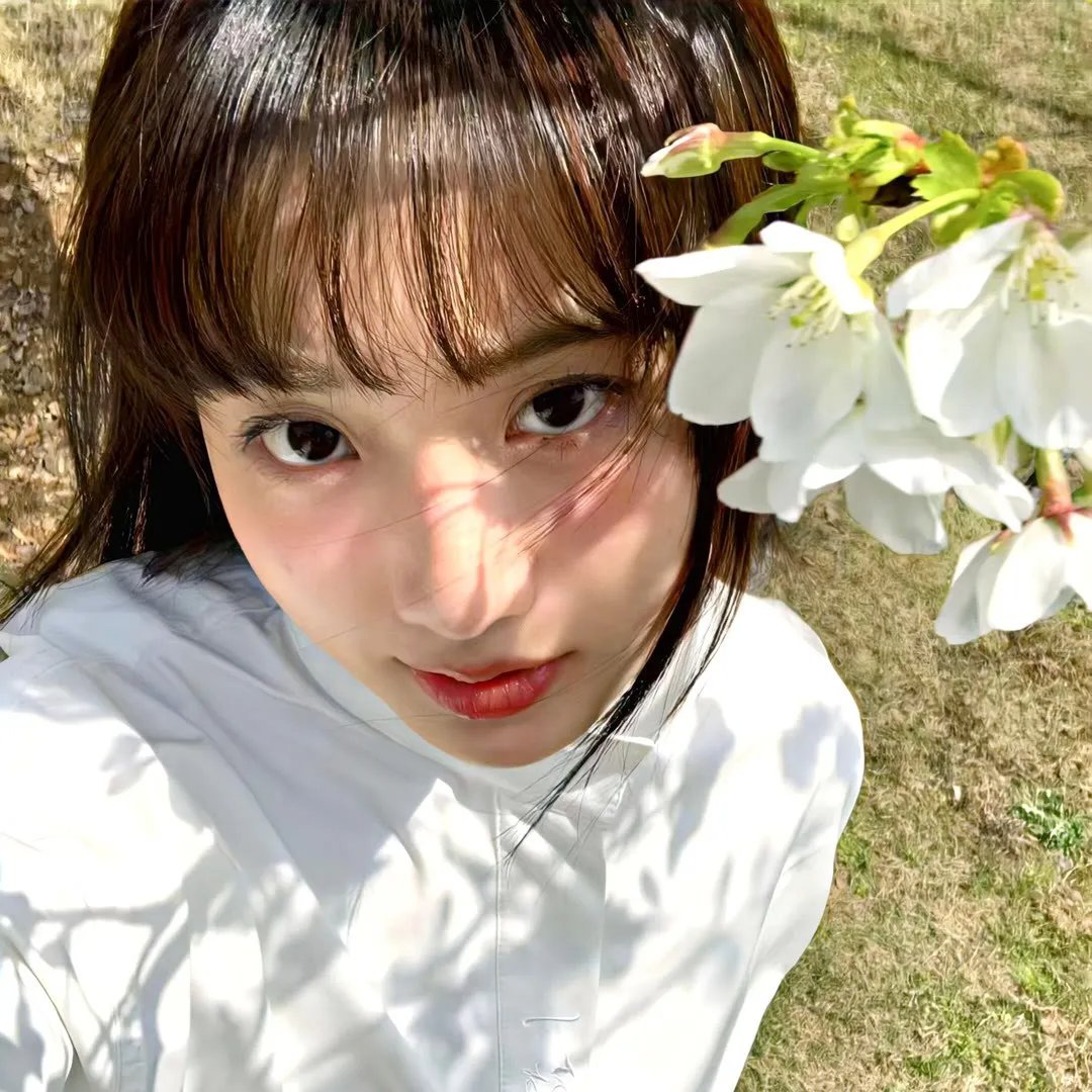 锁麟囊